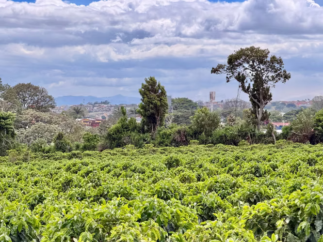 Terreno en Venta para Desarrollo Mixto en San Pablo de Heredia – 6 ha. Para Inversionistas  - Imagen 18
