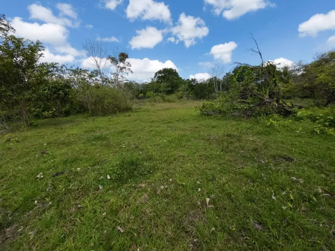 Venta Terreno 5.434 m² junto a río | Chachagua, Alajuela - Imagen 6