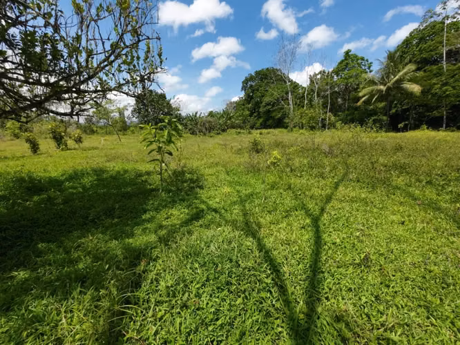 Venta Terreno 5.434 m² junto a río | Chachagua, Alajuela - Imagen 3