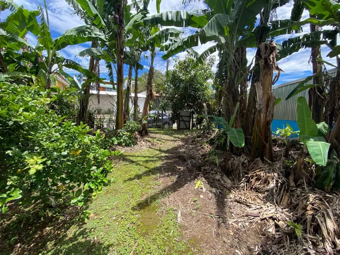 LINDO LOTE EN MONSERRAT, 385 METROS CUADRADOS 65 MILLONES DE COLONES - Imagen 10