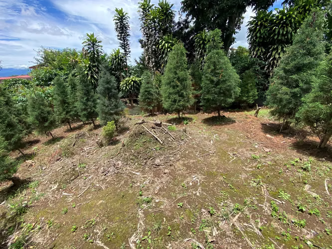 LINDO LOTE EN MONSERRAT, 385 METROS CUADRADOS 65 MILLONES DE COLONES - Imagen 7