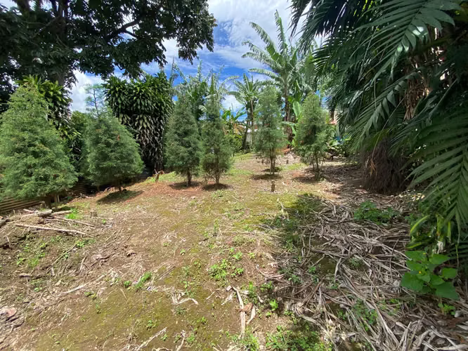 LINDO LOTE EN MONSERRAT, 385 METROS CUADRADOS 65 MILLONES DE COLONES - Imagen 4