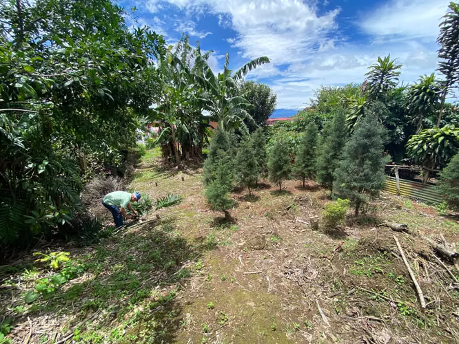 LINDO LOTE EN MONSERRAT, 385 METROS CUADRADOS 65 MILLONES DE COLONES - Imagen 6