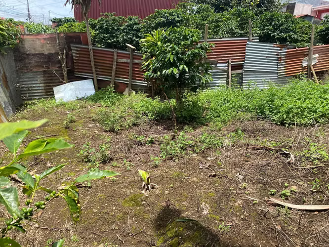 LINDO LOTE EN MONSERRAT, 385 METROS CUADRADOS 65 MILLONES DE COLONES - Imagen 12
