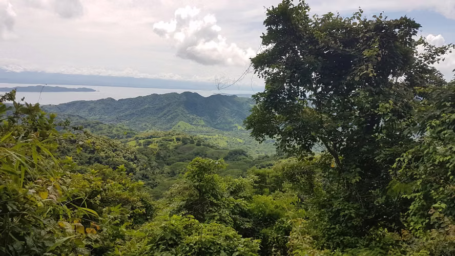 Nature Reserve & Investment: 100 hectares of unspoiled nature with annual income and spectacular panoramic vues