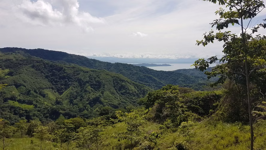 Nature Reserve & Investment: 100 hectares of unspoiled nature with annual income and spectacular panoramic vues