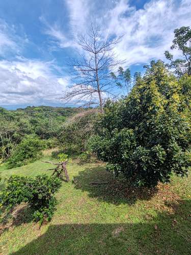 2 Casas Vacacionales en Finca, Lagunillas, Coyolar, Orotina, Alajuela, Costa Rica - Imagen 6