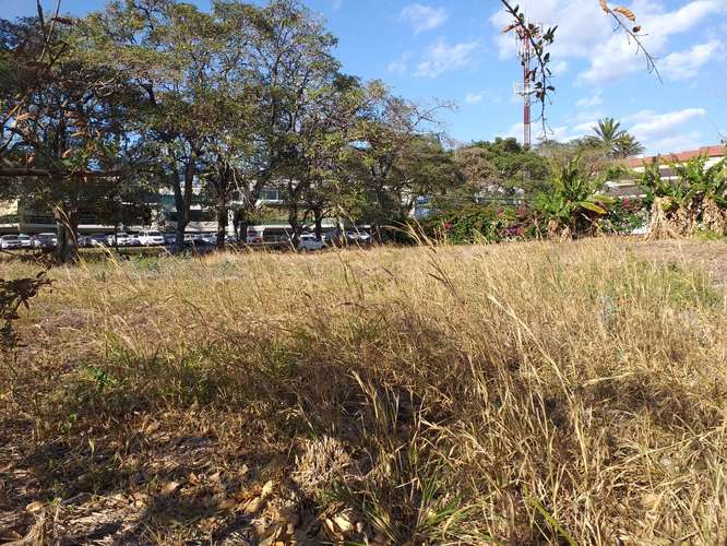  Terreno plano de 898 m²en Cariari, Heredia | a 50 m del Cariari Country Club  - Imagen 6