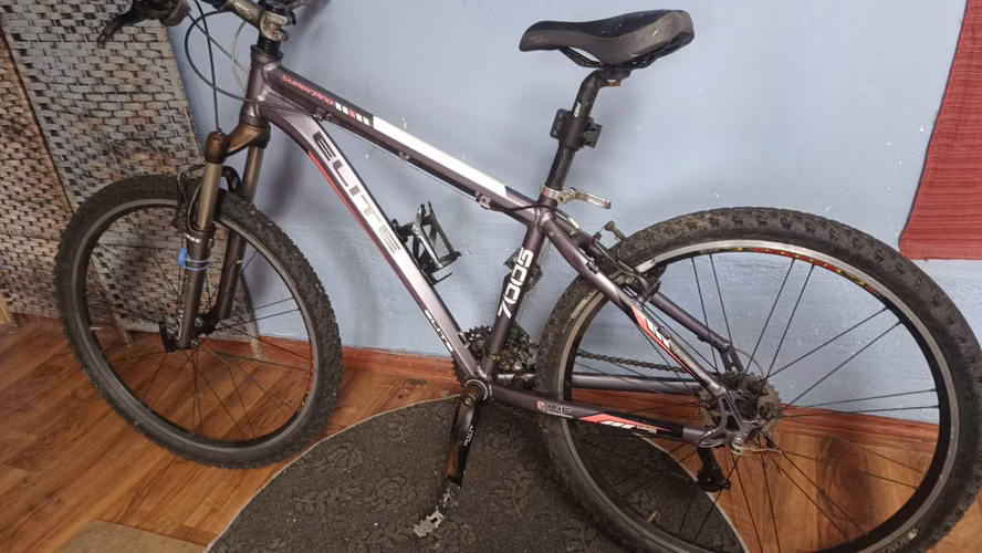 Bici mountain