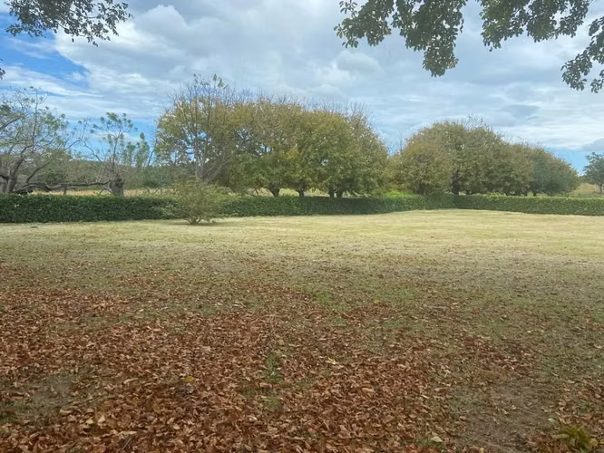 Venta de Terreno en Cañas, Guanacaste 07 - Imagen 3