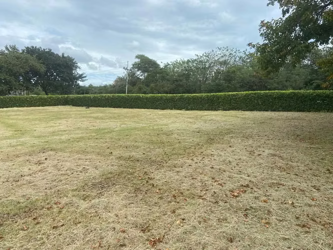 Venta de Terreno en Cañas, Guanacaste 07 - Imagen 7