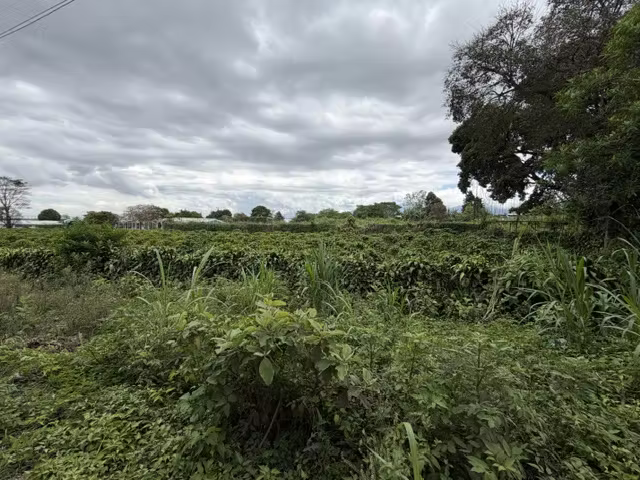 TERRENO 5.000 m² EN VENTA | USO RESIDENCIAL–COMERCIAL | SANTO MIGUEL, STO DOMINGO, HEREDIA - Imagen 3