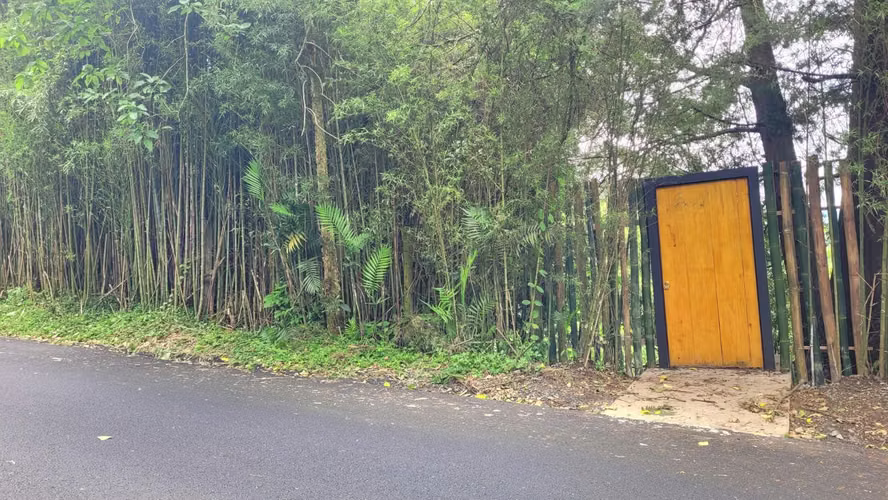 Terreno en San Rafael de La Unión, ideal para construcción de vivienda - Imagen 2