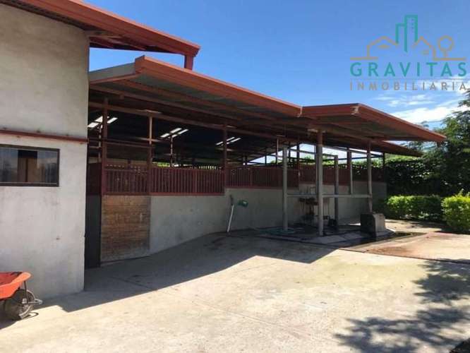 Venta de quinta en Alajuela La garita | 9654 m2 | F 720 - Imagen 9