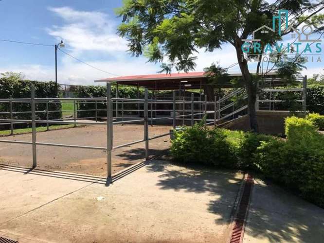 Venta de quinta en Alajuela La garita | 9654 m2 | F 720 - Imagen 13