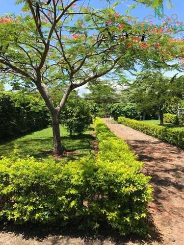 Venta de quinta en Alajuela La garita | 9654 m2 | F 720 - Imagen 8
