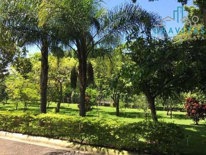 Venta de quinta en Alajuela La garita | 9654 m2 | F 720 - Imagen 6