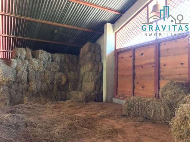 Venta de quinta en Alajuela La garita | 9654 m2 | F 720 - Imagen 14