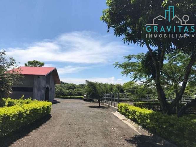 Venta de quinta en Alajuela La garita | 9654 m2 | F 720 - Imagen 15