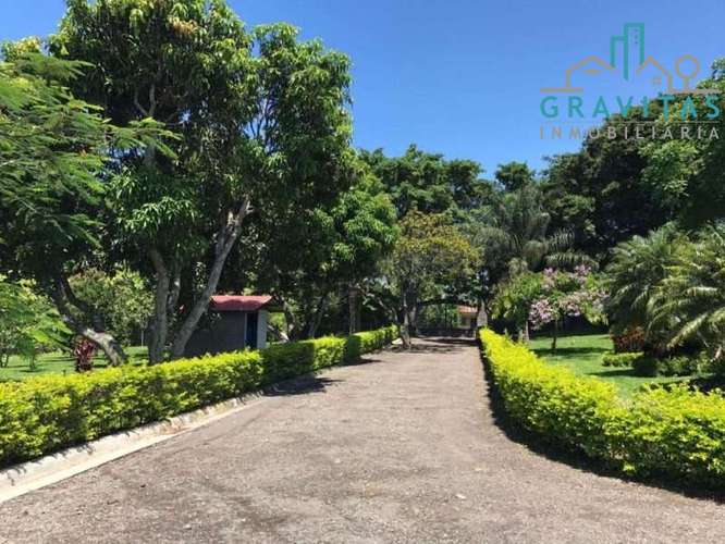 Venta de quinta en Alajuela La garita | 9654 m2 | F 720 - Imagen 12