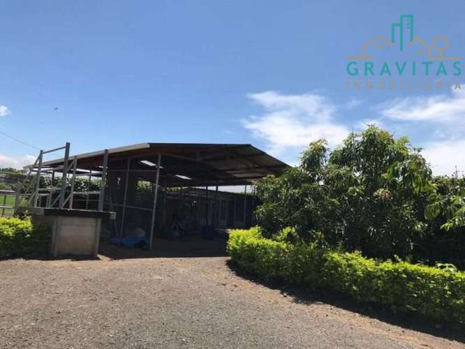 Venta de quinta en Alajuela La garita | 9654 m2 | F 720 - Imagen 5