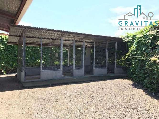 Venta de quinta en Alajuela La garita | 9654 m2 | F 720 - Imagen 4