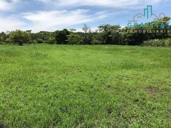 Venta de quinta en Alajuela La garita | 9654 m2 | F 720 - Imagen 18