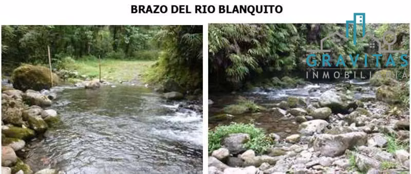 Venta de finca en Guápiles | 70,3 Ha | CON FINANCIAMIENTO | F 723 - Imagen 11