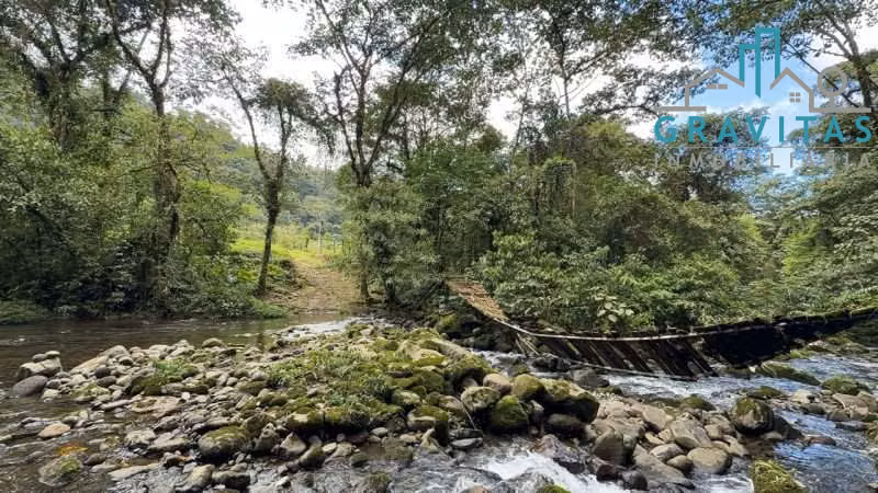 Venta de finca en Guápiles | 70,3 Ha | CON FINANCIAMIENTO | F 723 - Imagen 1