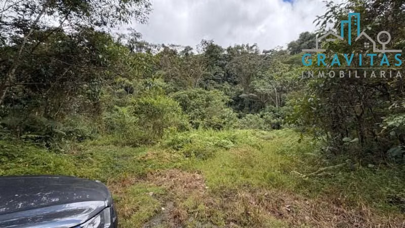 Venta de finca en Guápiles | 70,3 Ha | CON FINANCIAMIENTO | F 723 - Imagen 7