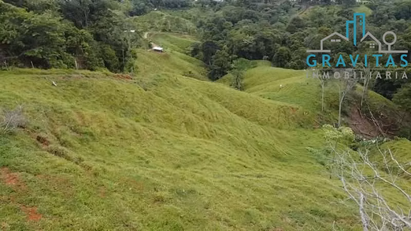 Venta de finca en Turrubares | 84136 m2 | FINANCIAMIENTO DIRECTO | F 724 - Imagen 15