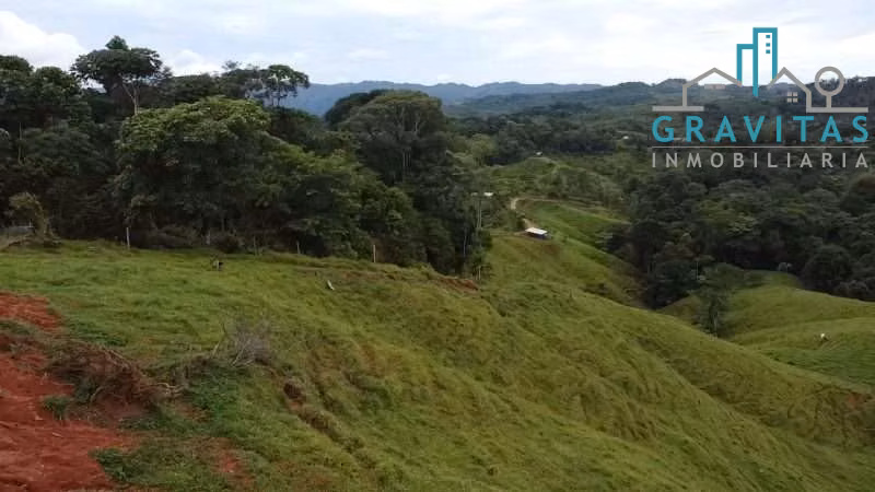 Venta de finca en Turrubares | 84136 m2 | FINANCIAMIENTO DIRECTO | F 724 - Imagen 4