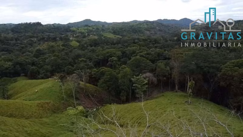 Venta de finca en Turrubares | 84136 m2 | FINANCIAMIENTO DIRECTO | F 724 - Imagen 3