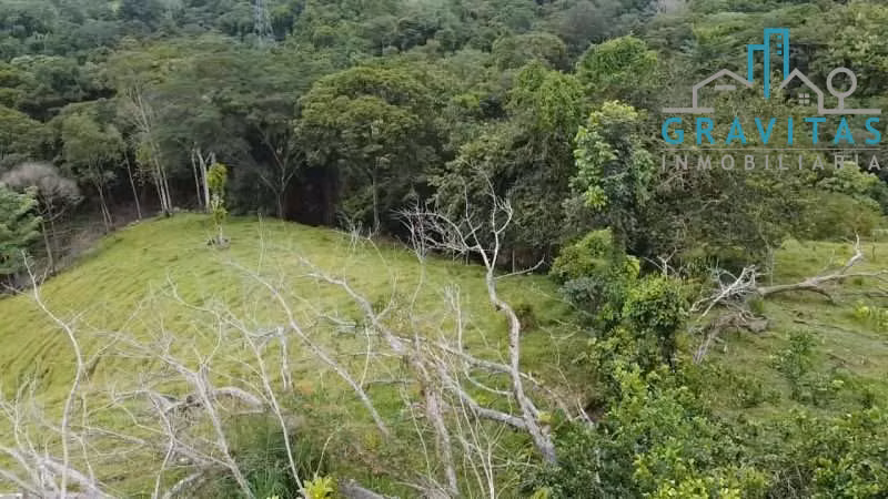 Venta de finca en Turrubares | 84136 m2 | FINANCIAMIENTO DIRECTO | F 724 - Imagen 18