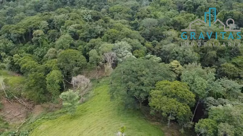 Venta de finca en Turrubares | 84136 m2 | FINANCIAMIENTO DIRECTO | F 724 - Imagen 2