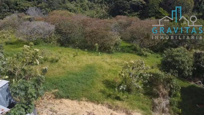 Venta de lote en Ipís Mozotal | 7562 m2 | A 4 Km de Guadalupe | F 725 - Imagen 9