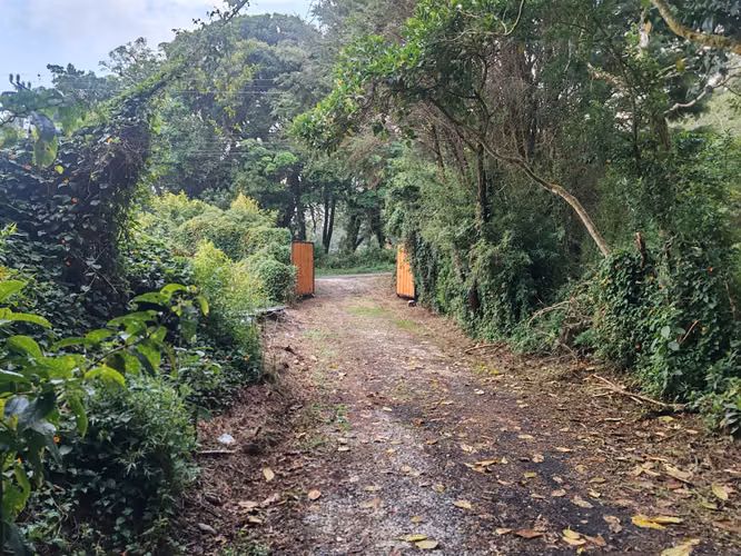 Tiny House (casita) en el Bosque – San Rafael de Heredia - Imagen 3