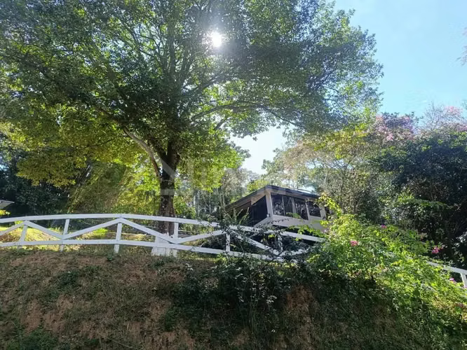 Venta de lote de uso de suelo mixto con excelente clima y vistas  - Imagen 11