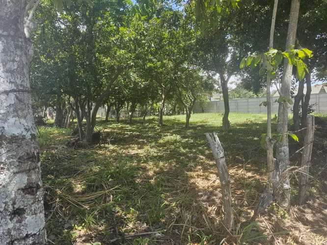 Excelente Oportunidad de Inversión en Piedades, Santa Ana.