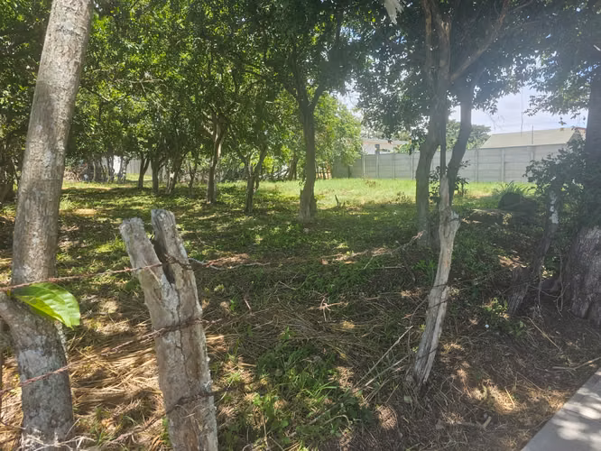 Excelente Oportunidad de Inversión en Piedades, Santa Ana.