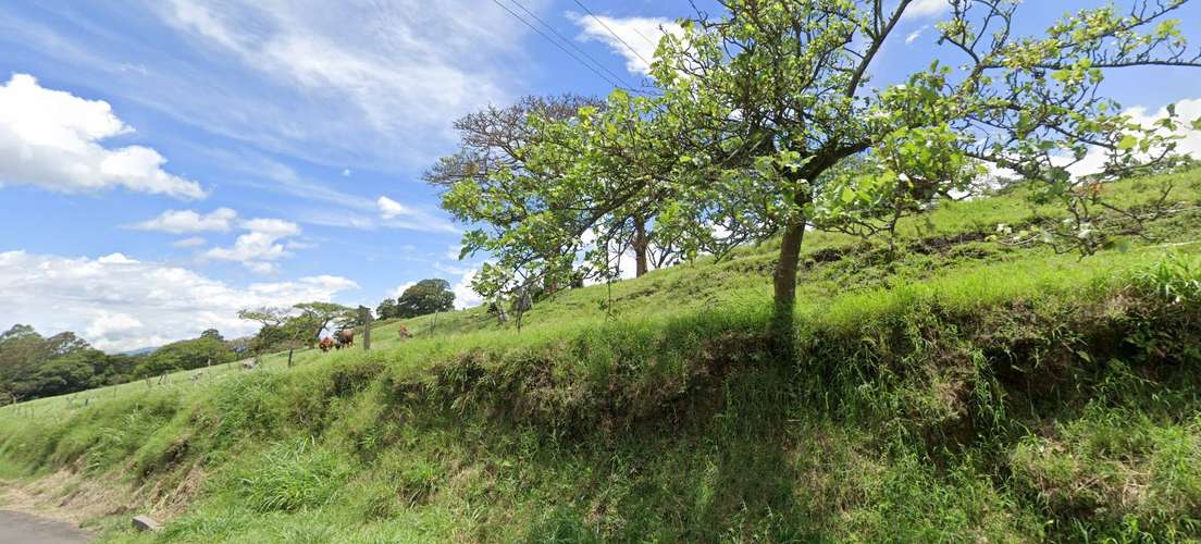 Lotes 2.700 m² con vistas y financiamiento en Poás - Imagen 10