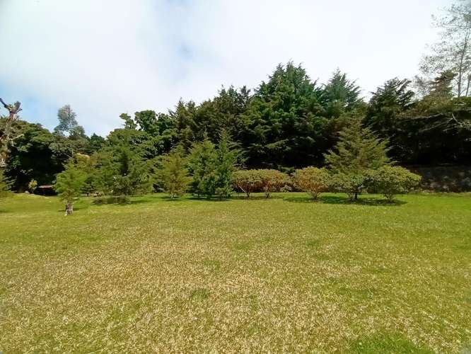 VENTA DE HERMOSA PROPIEDAD EN HEREDIA EL TIROL - Imagen 7