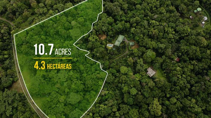 Finca Privada de 4.34 Hectáreas con Pozo, Electricidad y a pocos minutos de Puerto Viejo