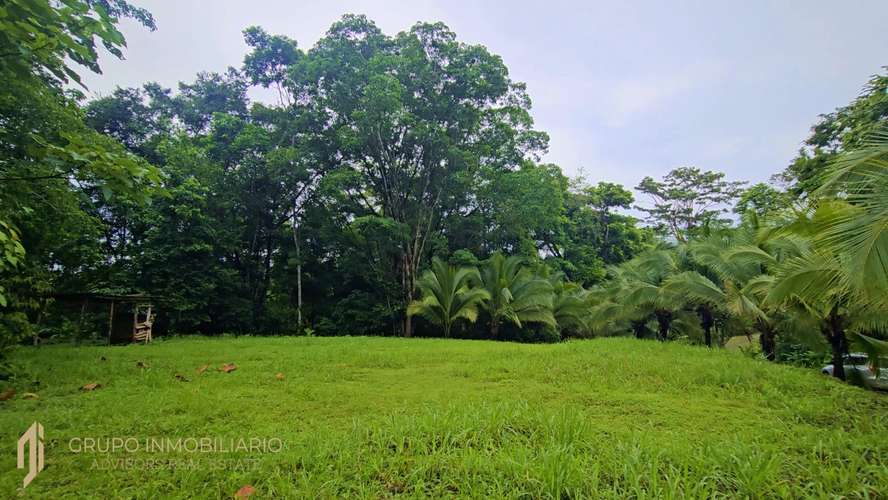 Finca Privada de 4.34 Hectáreas con Pozo, Electricidad y a pocos minutos de Puerto Viejo