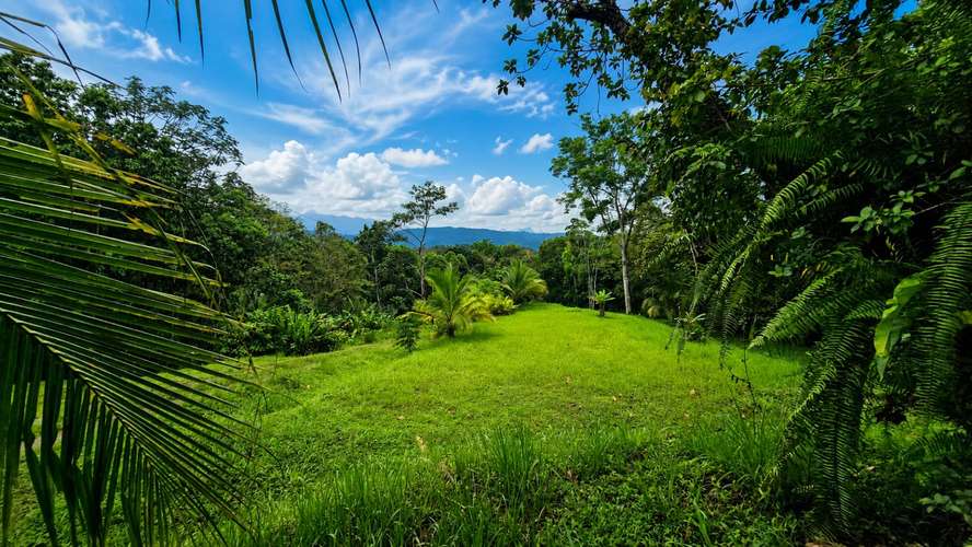 Finca Privada de 4.34 Hectáreas con Pozo, Electricidad y a pocos minutos de Puerto Viejo
