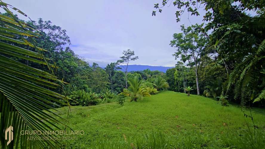Finca Privada de 4.34 Hectáreas con Pozo, Electricidad y a pocos minutos de Puerto Viejo