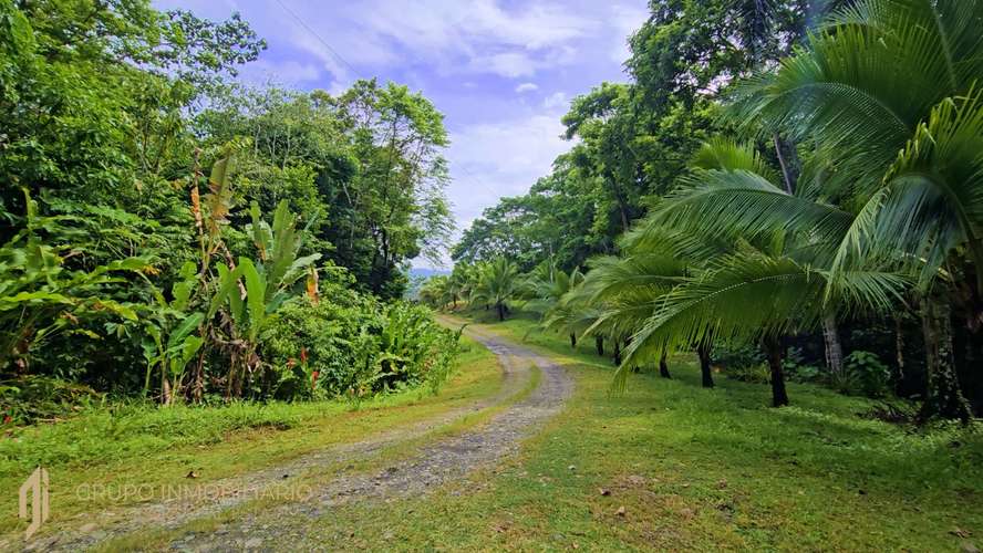 Finca Privada de 4.34 Hectáreas con Pozo, Electricidad y a pocos minutos de Puerto Viejo