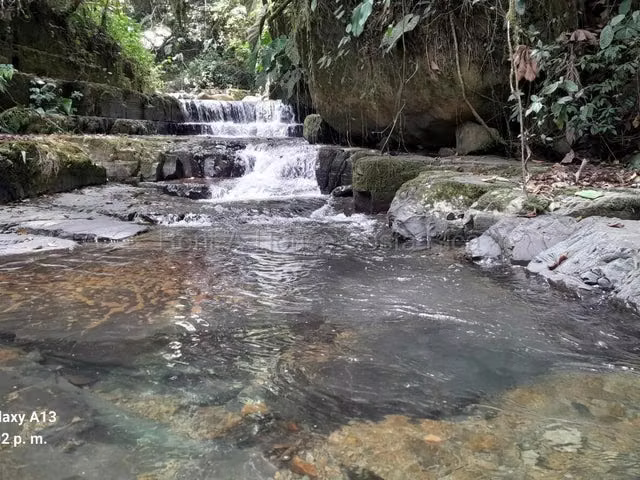 Venta de Finca en Peréz Zeledón-Páramo.  - Imagen 4