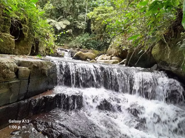 Venta de Finca en Peréz Zeledón-Páramo.  - Imagen 3