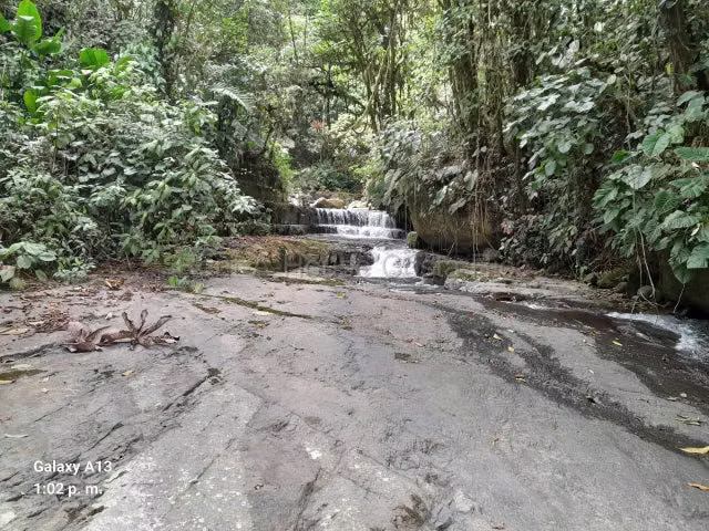 Venta de Finca en Peréz Zeledón-Páramo.  - Imagen 5